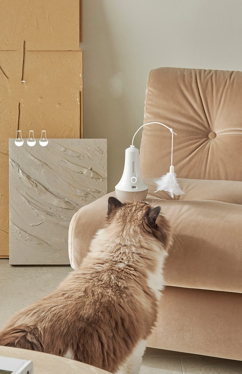 cat toys interactive|primemart.nz/